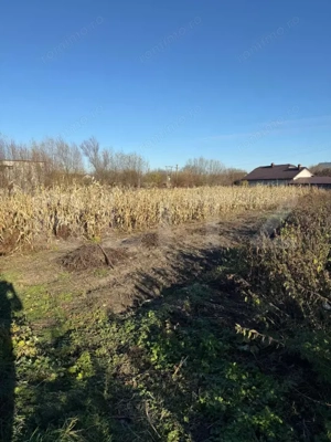 Casa batraneasca, 50 mp si teren intravilan 4900 mp, Udesti - imagine 8