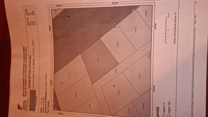 Vind terenuri arabile Sibiu - imagine 6