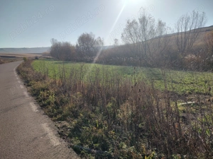 Teren Moara Carp (Strâmbul) Suceava - imagine 3