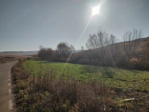 Teren Moara Carp (Strâmbul) Suceava - imagine 2