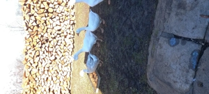 Vinzare giste - imagine 2