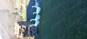 Vinzare giste - imagine 3