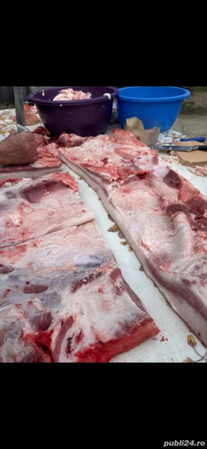 porci crescuti bio 16kg - imagine 6