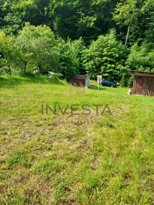 Teren la liziera padurii!