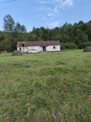 Vânzare teren 12.000 m  + casă bătrânească din cărămidă   Remeți, Maramureș (lângă Săpânța)