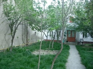 Casa de vanzare Timisaoara Rusu Sirianu