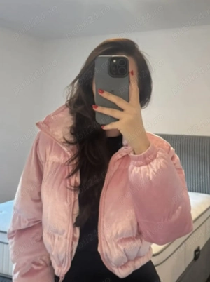 Plimb câini cu grijă și drag