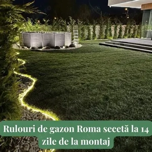gazon rulou cu transport si montaj 