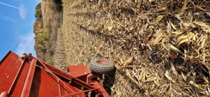 Culegator porumb SIP EKO 3500 - imagine 8