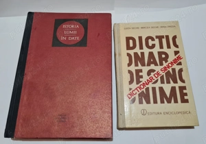 Istoria Lumii în Date + Dicționar de sinonime