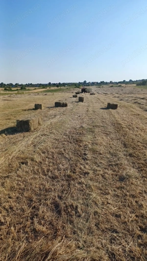 Vând baloți de fân. 
