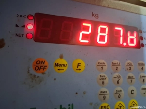 vând 2 porci de carne  287 si 293 kg - imagine 4