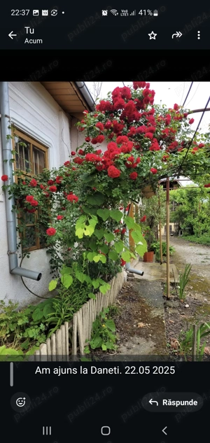 Casa centru Daneti, 80mp, curte si gradina 3.000 mp, apa + curent - imagine 4