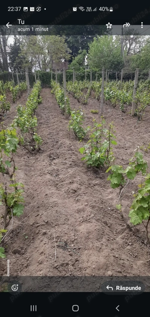 Casa centru Daneti, 80mp, curte si gradina 3.000 mp, apa + curent - imagine 6