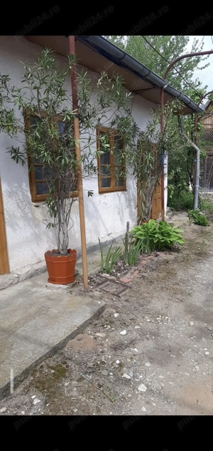 Casa centru Daneti, 80mp, curte si gradina 3.000 mp, apa + curent - imagine 8