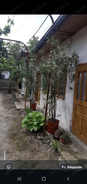 Casa centru Daneti, 80mp, curte si gradina 3.000 mp, apa + curent - imagine 7