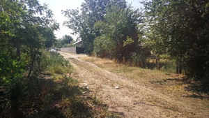 Teren Movilita Ialomița 1862mp cu put și livada gutui ,34 km de Bucuresti - imagine 6