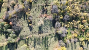 Teren si casa de vânzare la baza muntelui Iezer in Valea Mare Pravat - imagine 7