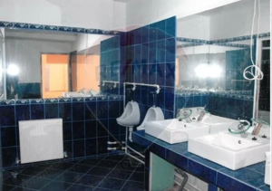 Spațiu comercial 250 mp cu expunere stradală – Oteșani / Colentina - imagine 6