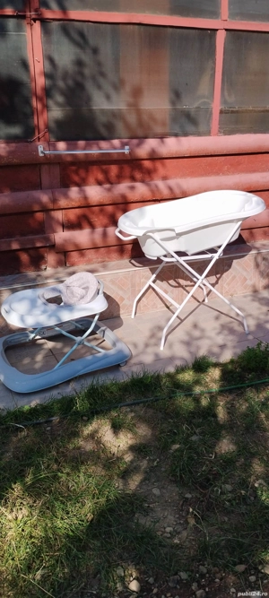 vanita si premergator 