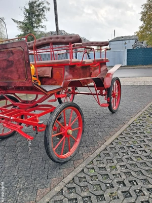 trasura  maraton    - imagine 4