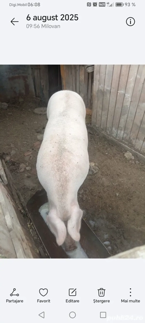 Mai sunt doua bucăți disponibile 