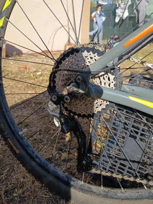 Focus whistler, cadru xl