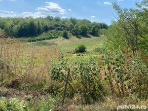 casa batraneasca de vanzare  - imagine 4