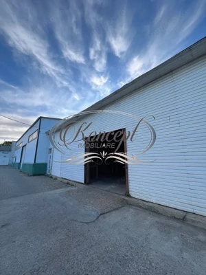 Hala pentru depozitare sau productie usoara