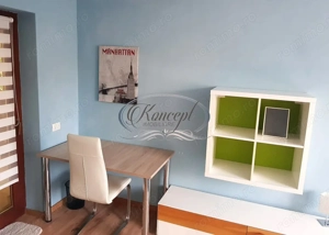 Apartament la casa, curte proprie, zona Gradinii Botanice - imagine 13