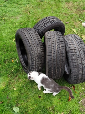 Vand cauciucuri noi de iarna Cooper - imagine 2