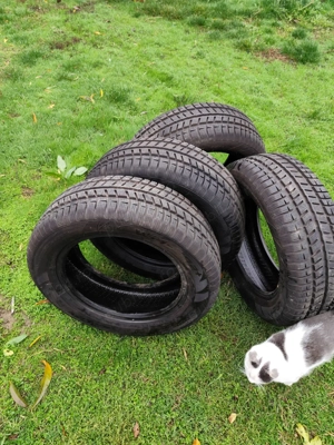 Vand cauciucuri noi de iarna Cooper - imagine 5