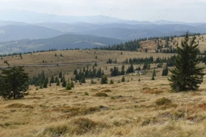 Vând teren în Munții Apuseni 