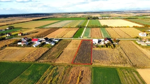 Teren intravilan de vanzare   3000 mp, Botiz, str. Sirul Mare, la doar 7 km de centrul Satu Mare - imagine 7