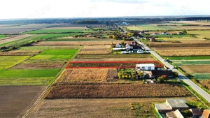 Teren intravilan de vanzare   3000 mp, Botiz, str. Sirul Mare, la doar 7 km de centrul Satu Mare - imagine 9