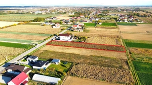 Teren intravilan de vanzare   3000 mp, Botiz, str. Sirul Mare, la doar 7 km de centrul Satu Mare - imagine 5