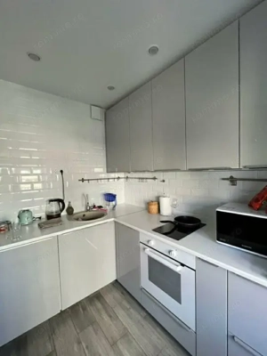 Apartament cu 2 camere in zona Mosilor - imagine 3