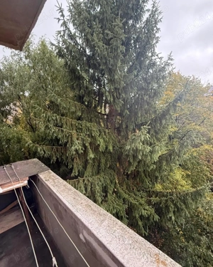 Victor Babeș (TBC) apartament 2 camere ,ETAJ 3 preț 55.000 euro - imagine 8