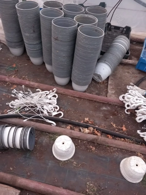 Vand 500buc ghivece de flori cu agatatoare - imagine 2