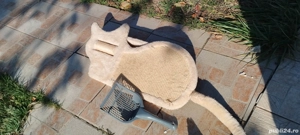 articole pisici  - imagine 2