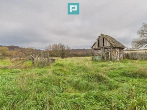 Casă, anexă şi grădină – Dorgoş - imagine 10