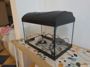 Acvariu  Accesorii 2025