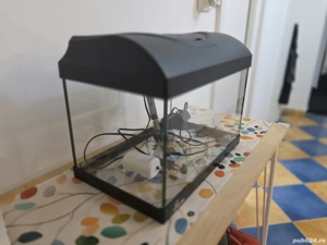 Acvariu +Accesorii 2025 - imagine 4