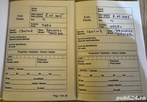 Cadoul perfect de "Mos Nicolae" - imagine 2