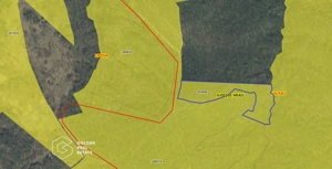 Padure de stejar, Ususau, suprafata 29.800 mp, comision 0% - imagine 2