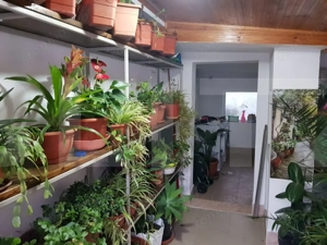 Casa individuala 4 camere, 100 mp, zona Girocului  - imagine 11