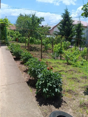 Copou Vila P+M Su.165mp Teren 1000mp vecin cu limita Gradina Botanica