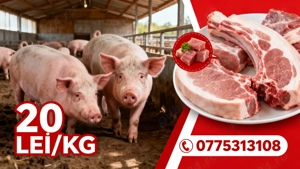 porc craciun 100 kilograme 1800 lei 