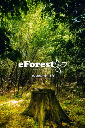 Teren premium in cartier rezidential eForest, doua paduri - imagine 11