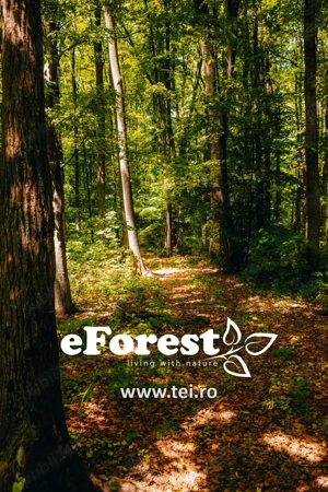 Teren premium in cartier rezidential eForest, doua paduri - imagine 9